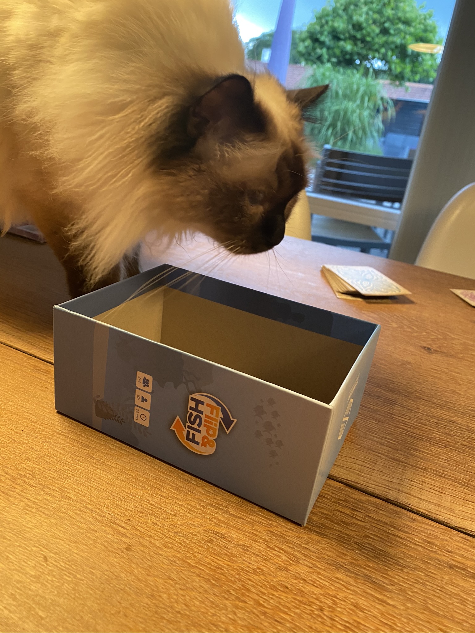 Helge inspecting the box - do I fit?