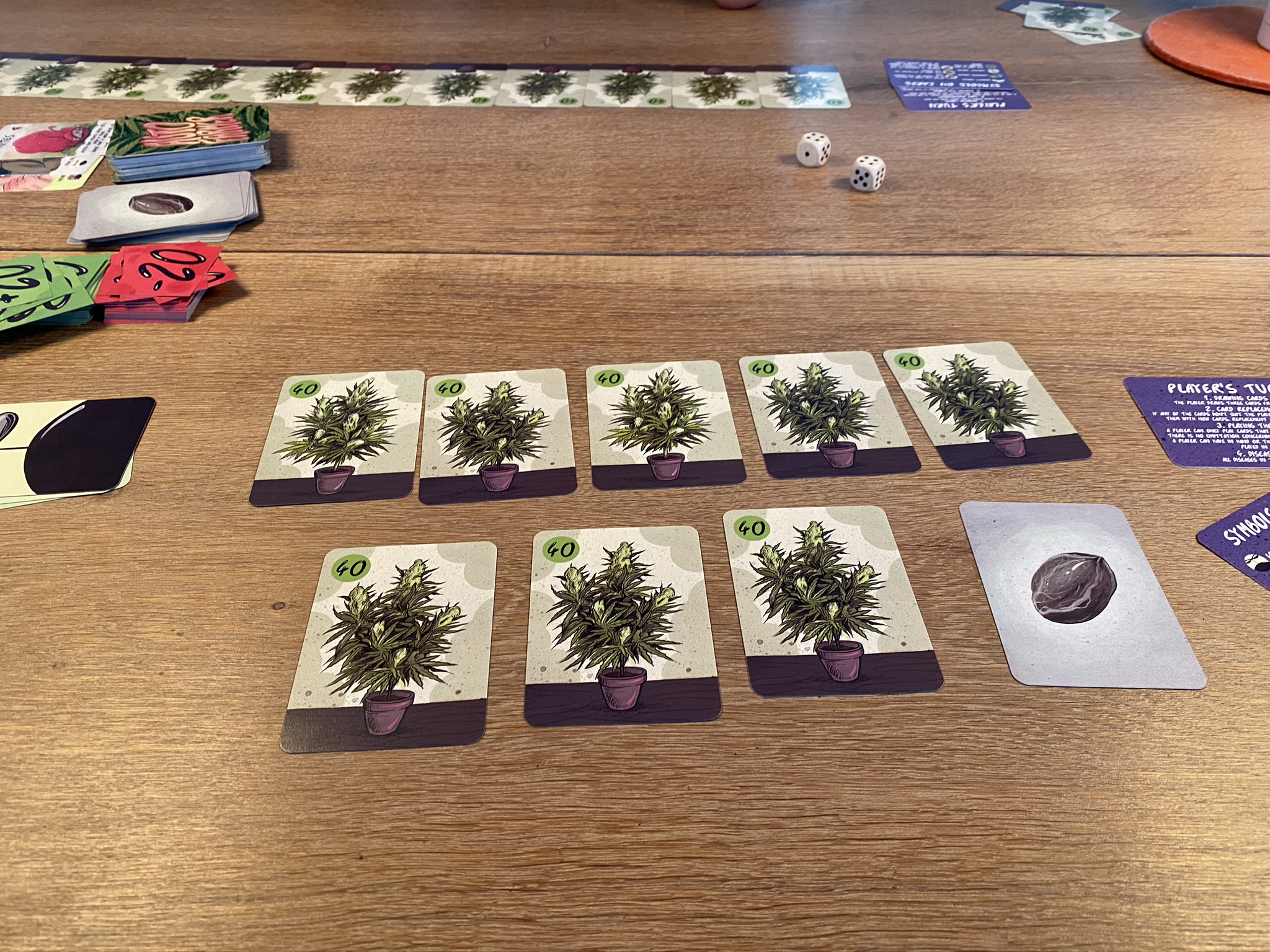 2 player setup - lucky bunch of plants